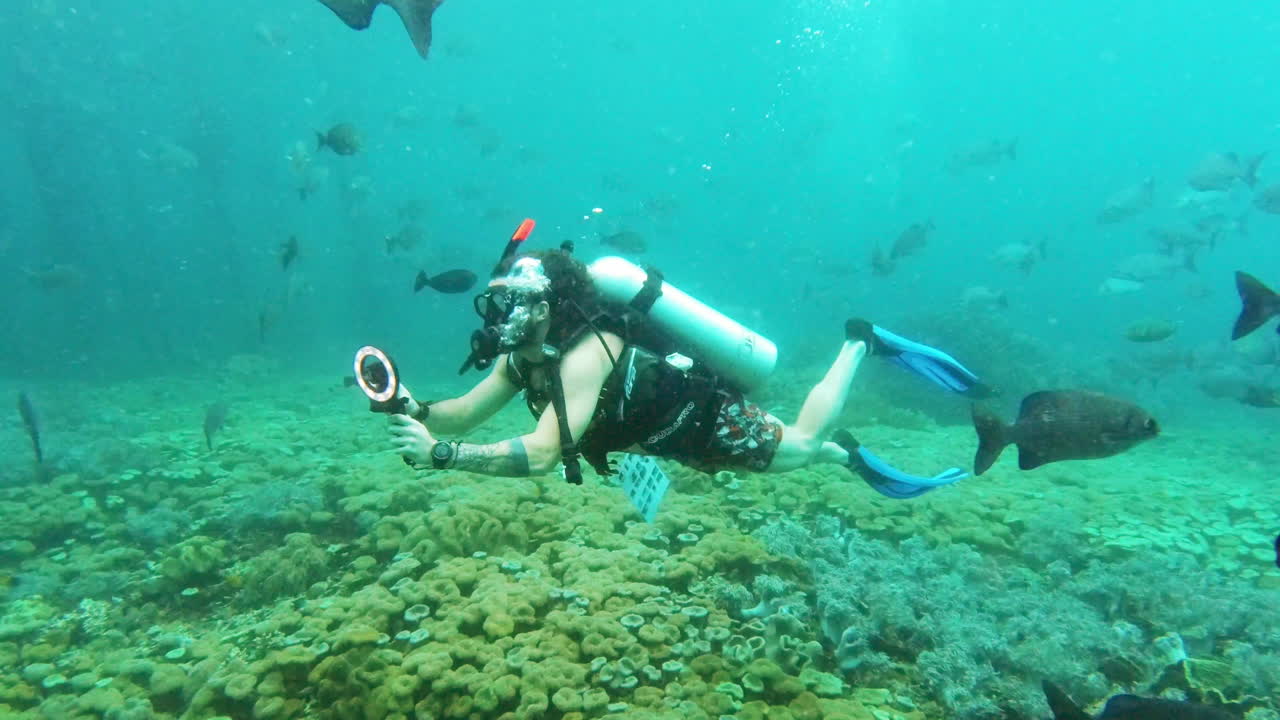 There's so much beauty and color down here