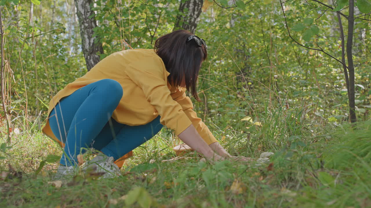 Woman exploring forest with dog. Person uncovering wild mushrooms beside tranquil camping site. Female adventurer identifies mushrooms in peaceful forest setting with loyal canine companion