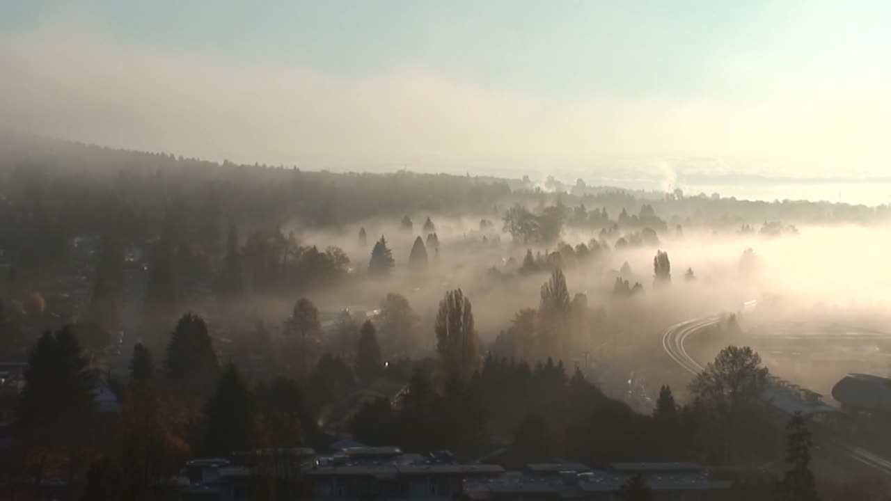 Aerial drone timelapse over fog-covered landscape in Hampshire, England, revealing winding track through misty hills and trees with soft sunlight creating calm and atmospheric morning scene