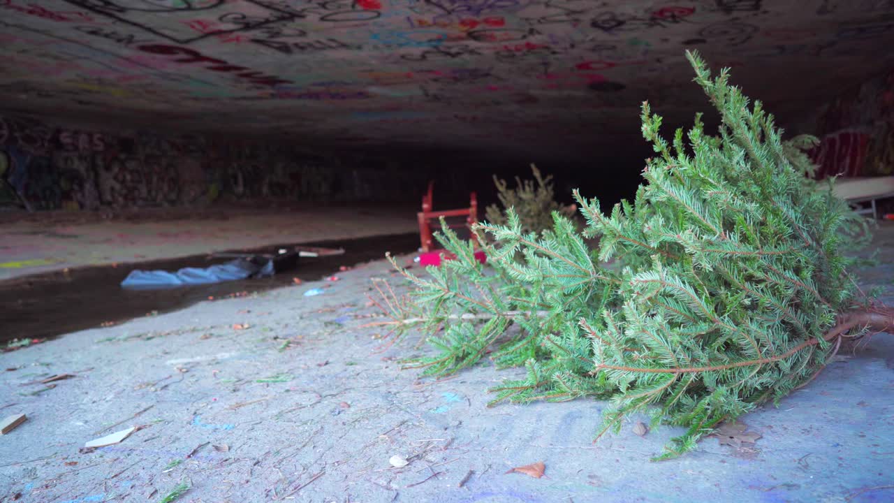 la navidad ha terminado, el árbol de navidad abandonado en un canal seco de la ciudad, con basura y arte callejero de graffiti