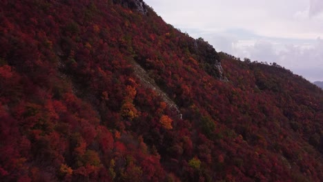 Aerial-forward-view-of-a-close-up-of-red-vegetation-above-the-Pietraroja-mountain