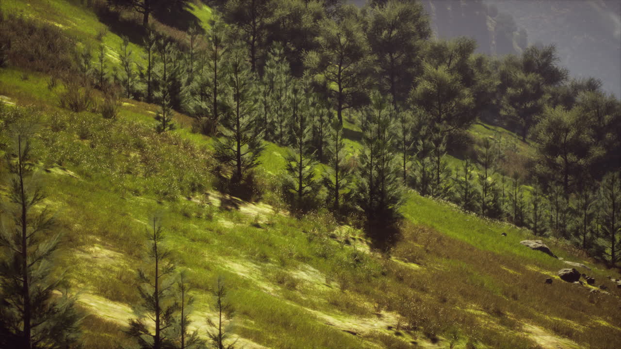 bosque de otoño en colinas rocosas verdes