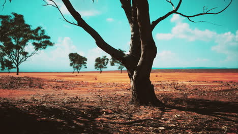 árboles-De-Acacias-En-El-Paisaje-De-Tanzania-Con-Nubes-En-El-Cielo