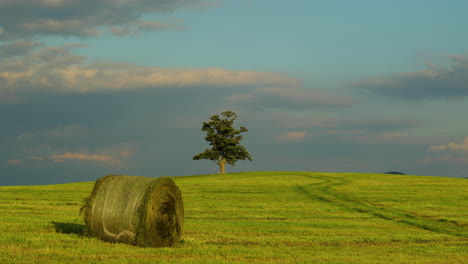 a hill with an abandoned tree during the day with a view of a stack of hay or straw and a view of moving clouds and the surrounding nature panoramic landscape view in 4k 60fps capture