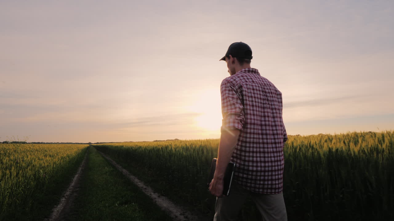un agricultor exitoso camina a lo largo de su campo de trigo al atardecer personas en el concepto de agronegocios steadicam s