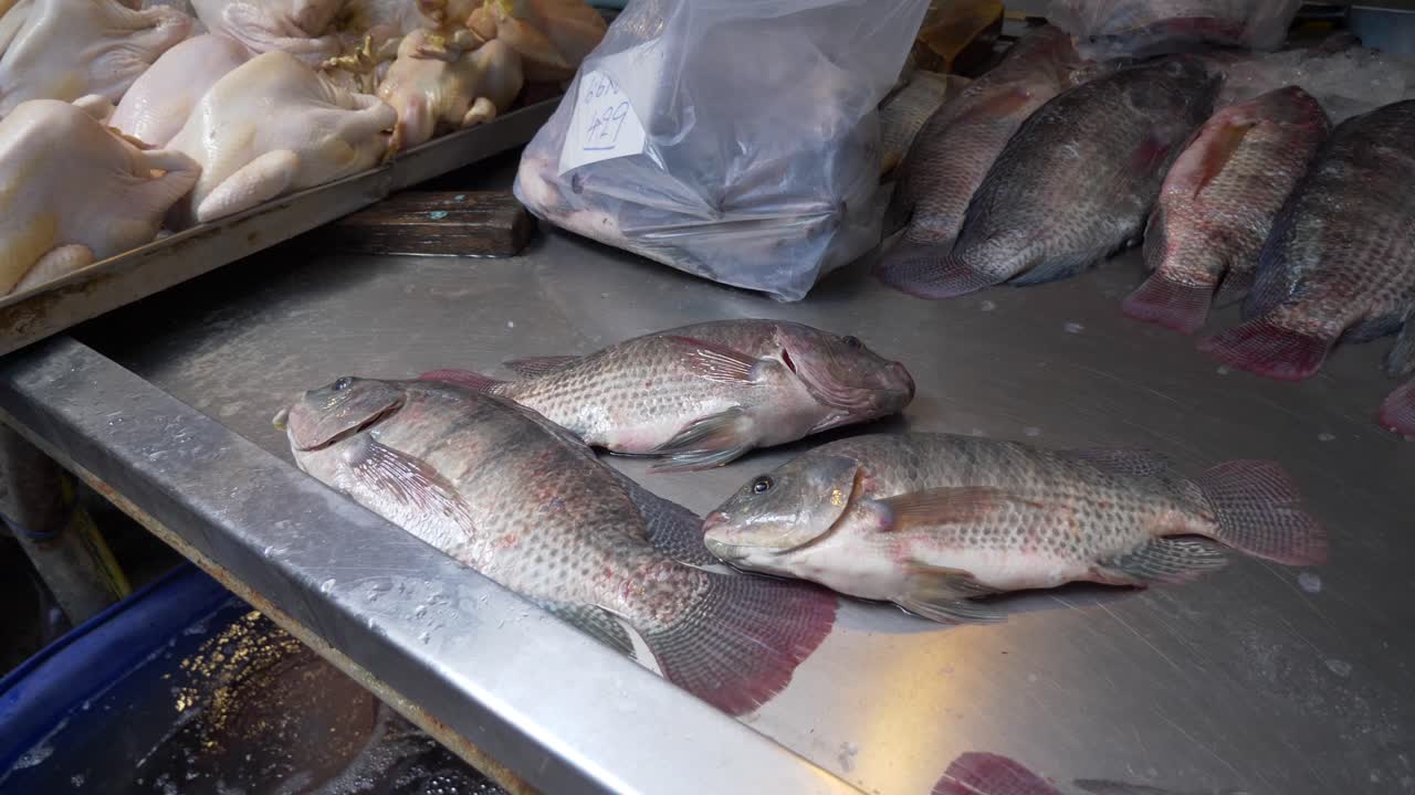peces de tilapia vivos respirando en el mercado local de alimentos para la venta fresco