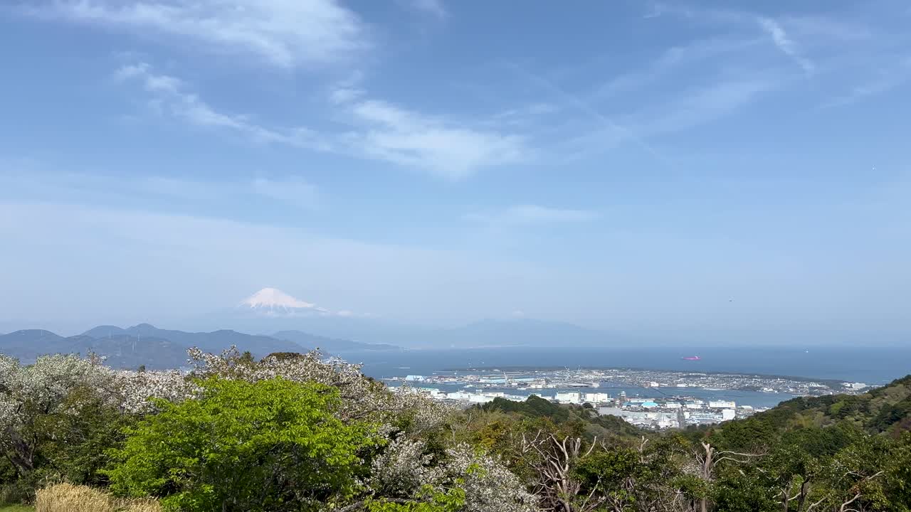 Slow motion panorama pan over ocean, Mt. Fuji and cherry blossoms