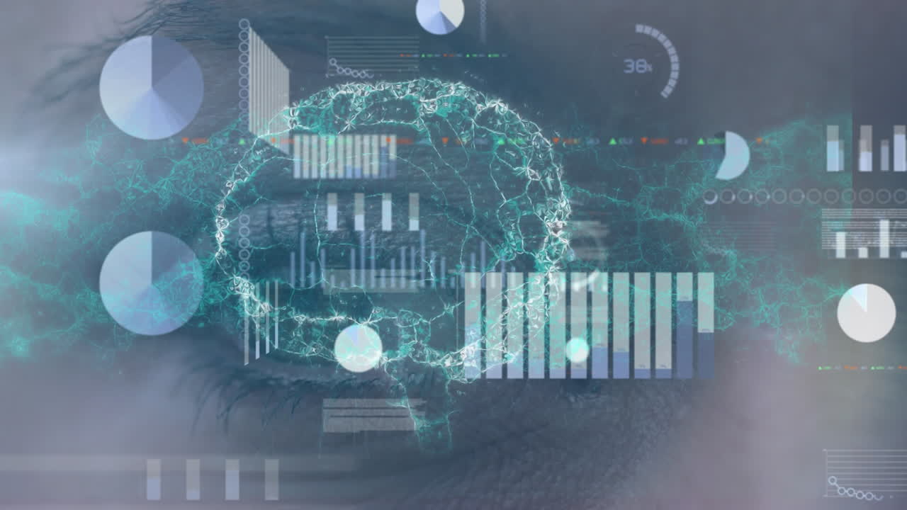 인간의 뇌의 애니메이션, 여성의 눈에 대한 데이터 처리 통계