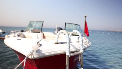 red and white boat on calm water