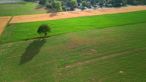 Aerial-drone-view-of-agriculture-farmland-during-sunset