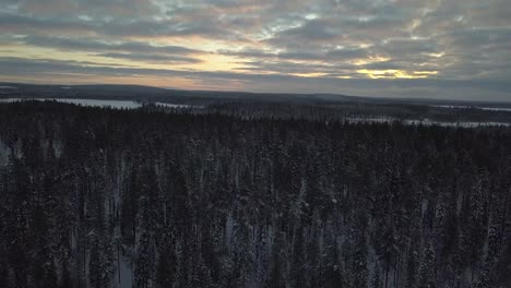 The-frozen-forest-near-Kuusamo-in-Lapland,-Finland