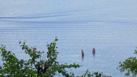 Mujeres-Vacacionistas-Nadando-En-Un-Lago-Tranquilo-Cerca-De-La-Aldea-De-Styporc-En-El-Norte-De-Polonia