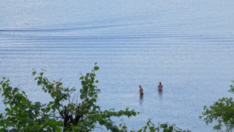 female vacationists swimming on calm lake near styporc village in northern poland