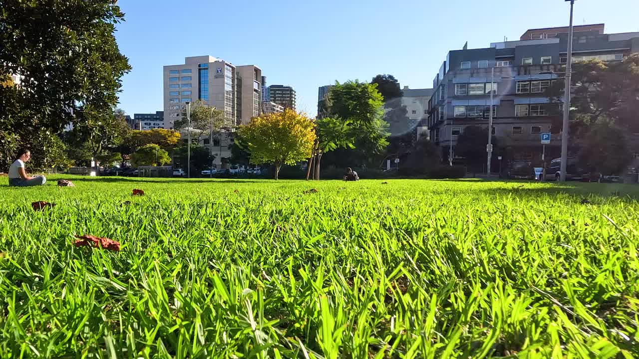 멜버른 가든 의 초록색 풀 의 근접 사진