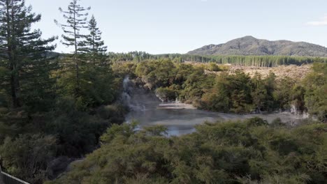 Toma-Aérea-Ascendente-Reveladora-Del-área-Circundante-De-Las-Piscinas-De-Lodo-Waiotapu,-Rotorua,-Nueva-Zelanda