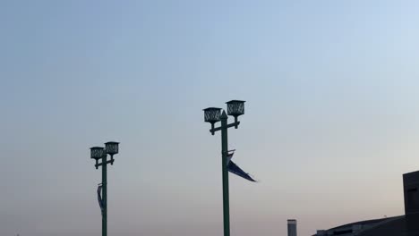 torn flag flapping on a street lamp against a dusk sky