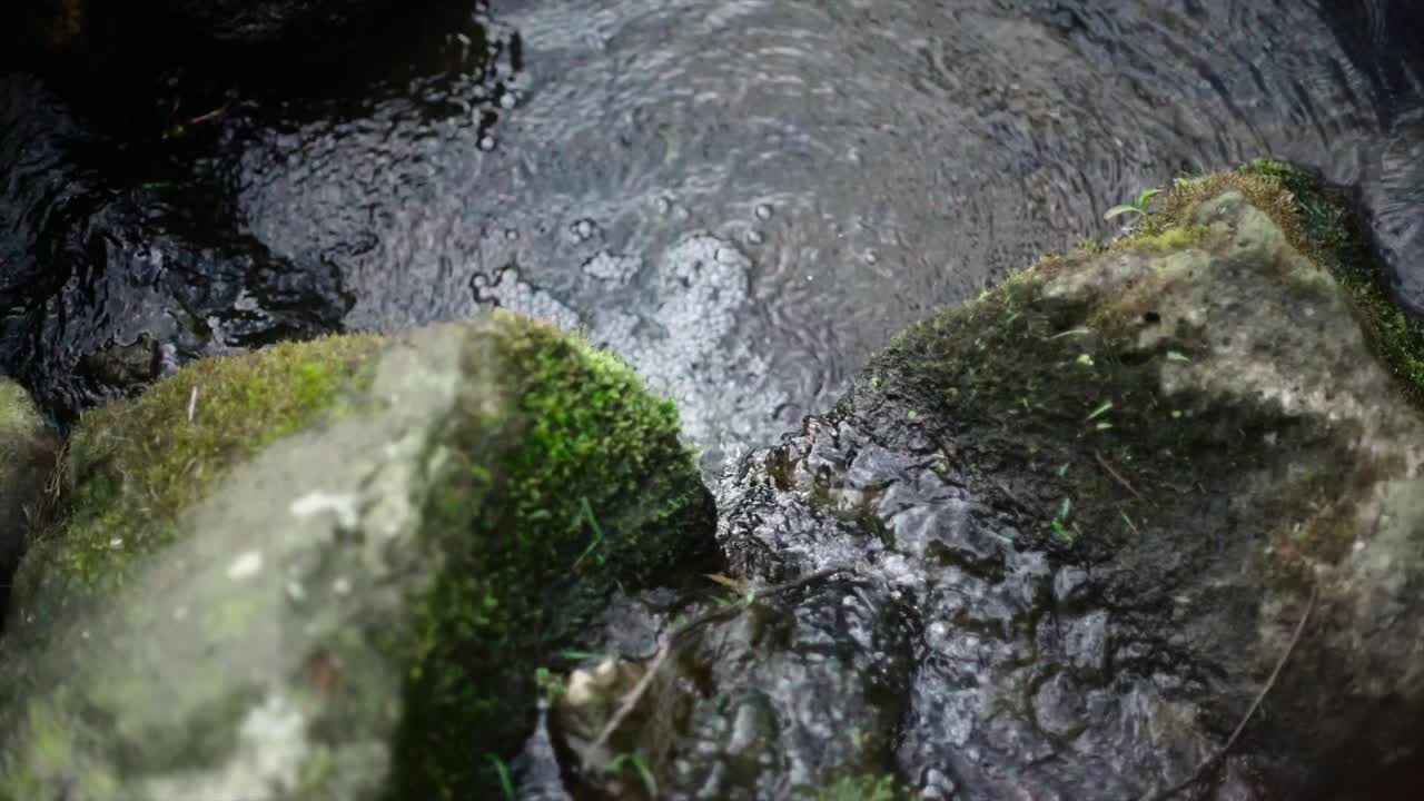 moss on the rock near the stream and small fall