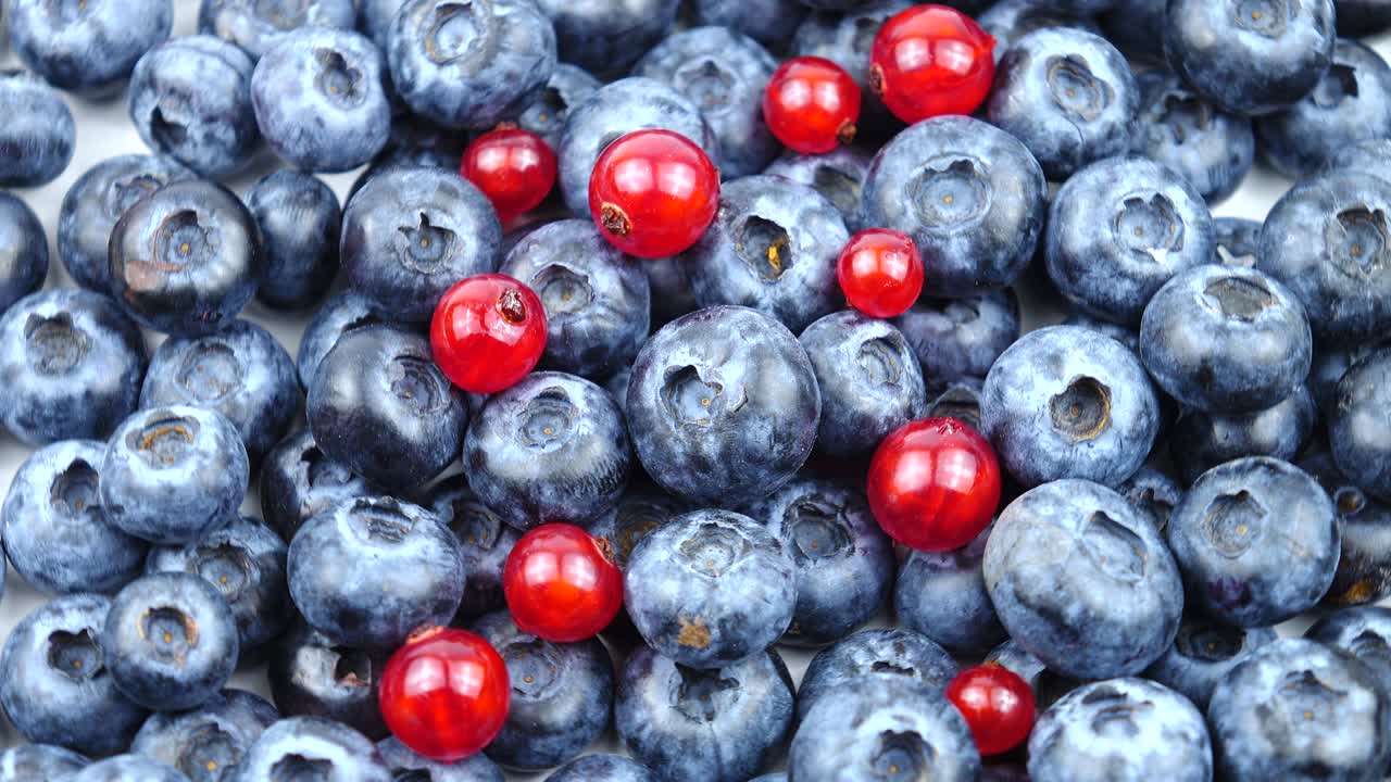 은 과 습지 의 익은 원시 열매, 배경