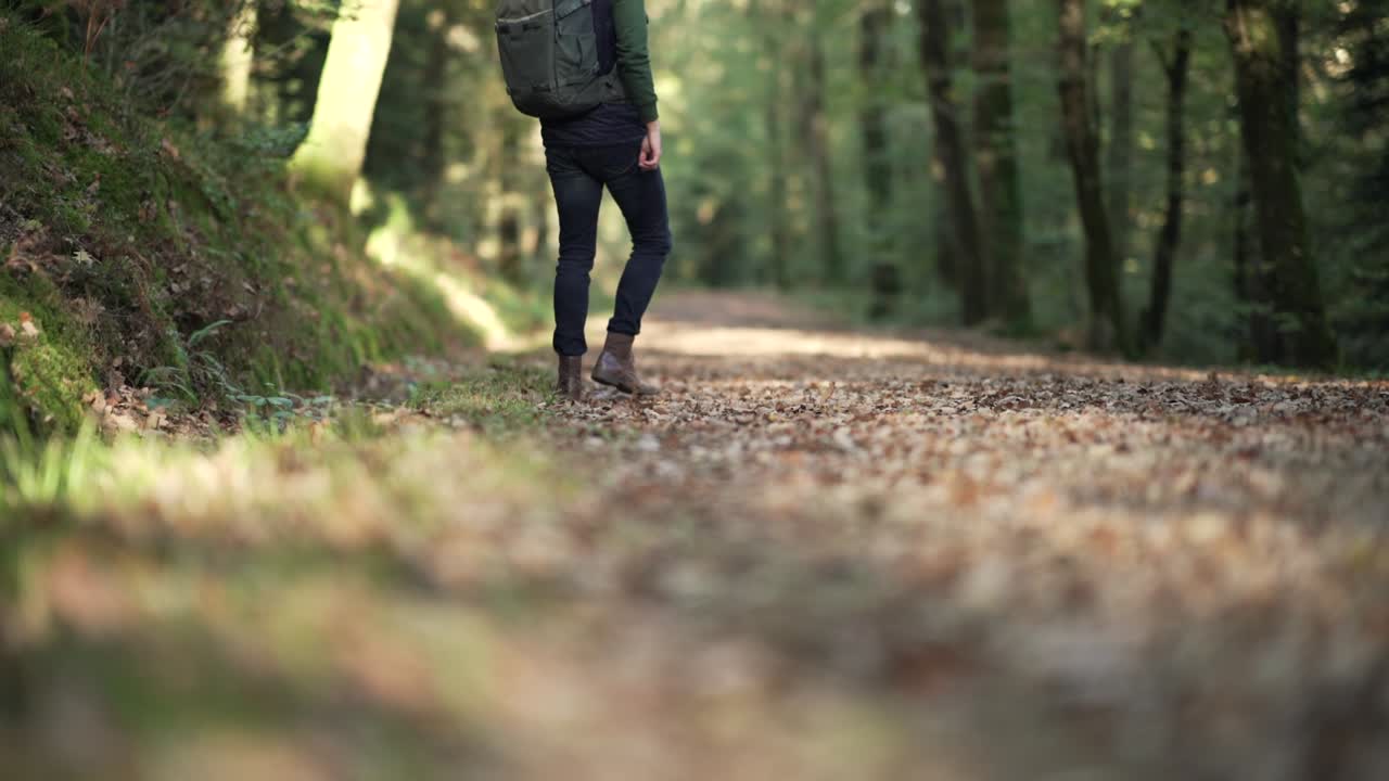 A man is walking away and looking back on the leaves path in a forest