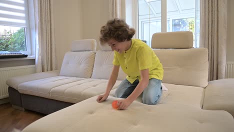 blond boy with curly hair kneeling on the couch while playing with his dog. the dog steals him the ball out of his hands