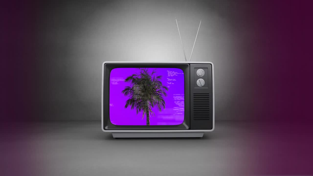 Vecchia TV con palma sullo schermo su sfondo grigio