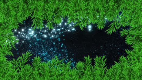 animation of snow falling over fir tree branches and moving light trail