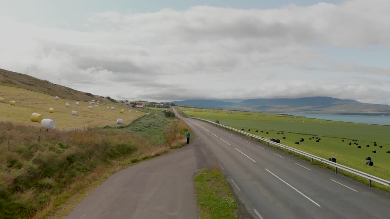 아이슬란드의 바다를 따라 건초 더미, 무인 항공기에서 보기