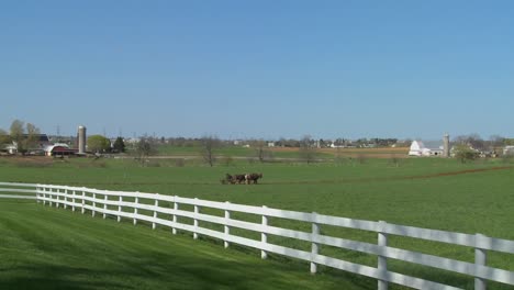 Un-Granjero-Amish-Usa-Caballos-Para-Arar-Sus-Campos