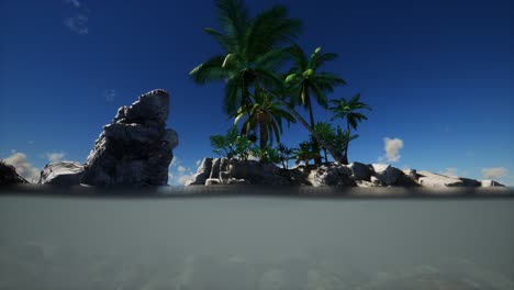 brown muddy water and palms on island