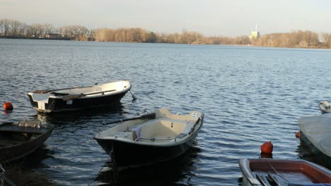 small rowing boats floating close to the shore of a lake