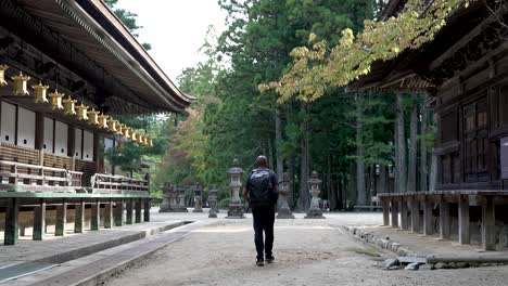 solo male wearing backpack walking along path looking at row of hanging golden lanterns at koyasan