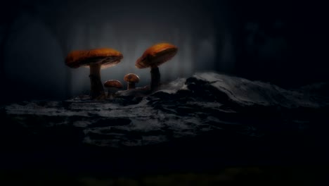 mystical forest / magical mushroom scene.