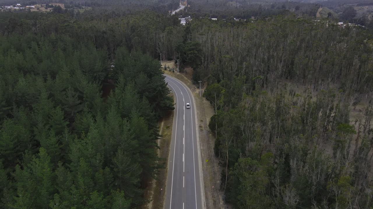 aerial view of a highway in the middle of the forest