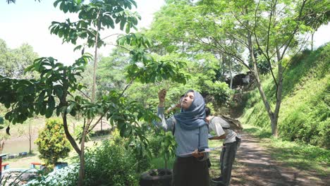 zoom out shot of asian muslim girl student learning and exploring nature with magnifying glass