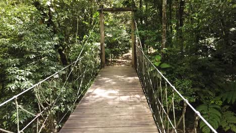Caminando-Sobre-Un-Puente-En-Una-Jungla-Tropical-Con-Muchas-Plantas-Y-Aire-Fresco