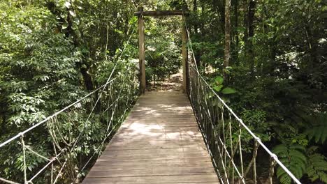 walking on a bridge on a tropical jungle with lots of plants and fresh air