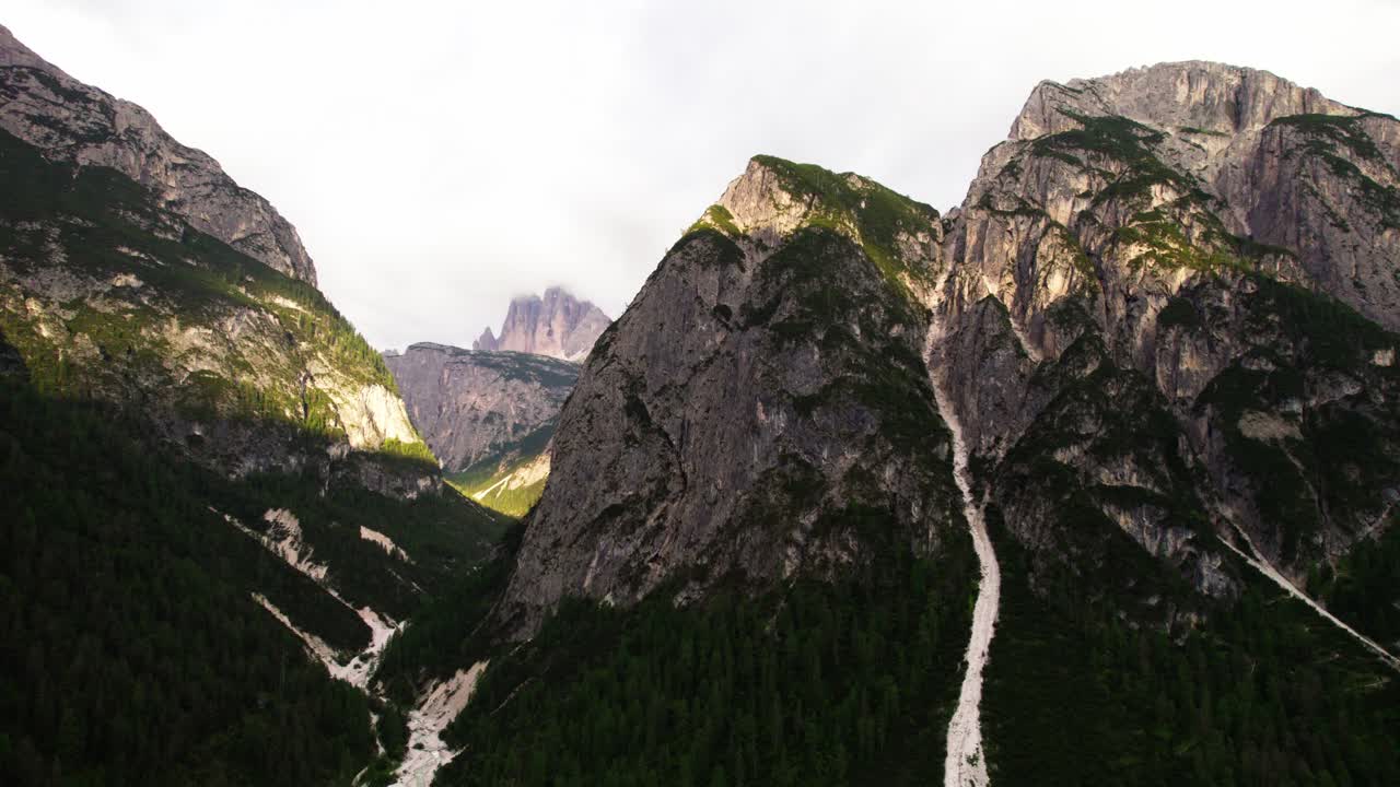 pendiente empinada en las dolomitas con densos árboles de alerces en el tirol del sur, italia
