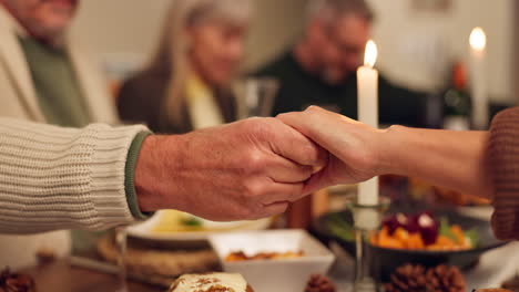 a family celebrating thanksgiving dinner