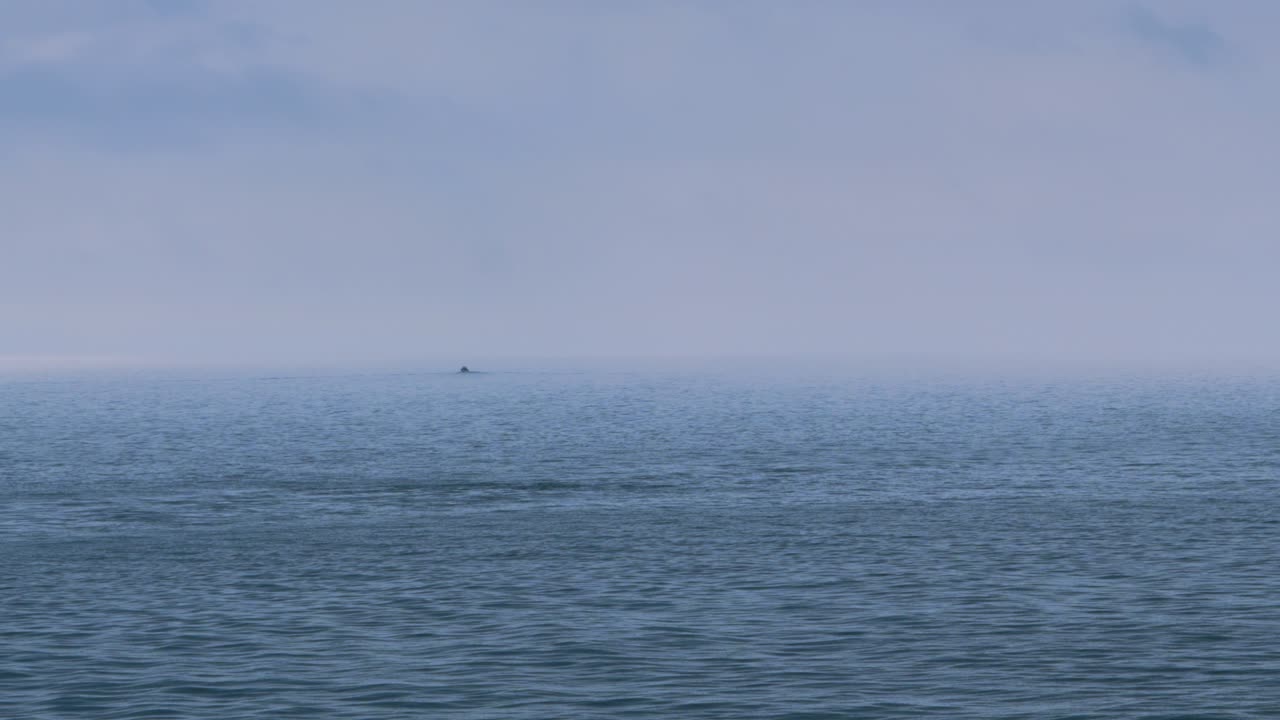 조용한 바다와 외로운 배와 흐릿한 하늘과 부드럽게 상승하고 떨어지는 파도