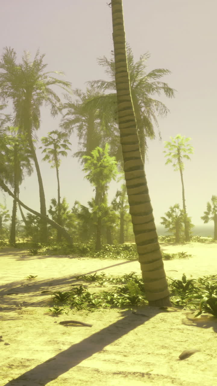 Peaceful tropical beach with palm trees and gentle ocean waves on sunny day