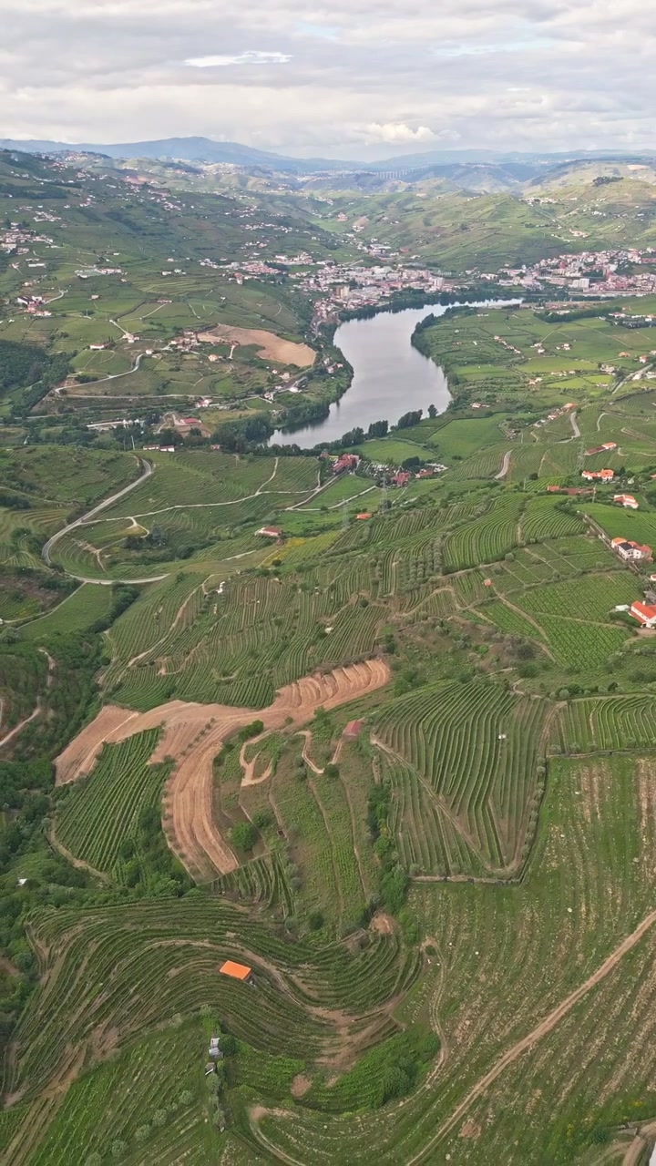 Vista aerea su vigneti a terrazze e valle fluviale con un paesino in Portogallo.