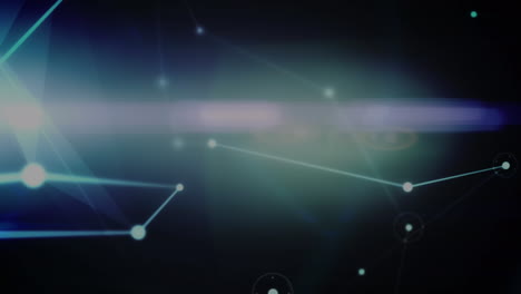 animation of networks of connections over black background
