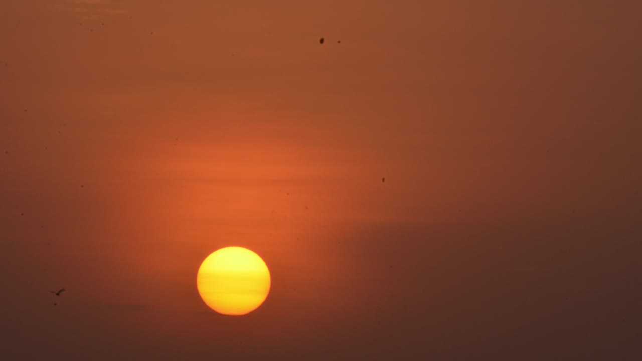 구름과 함께 하늘에 떠오르는 태양의 저속, 구름을 통해 빛나는 태양 광선