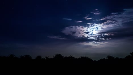 lapso de tiempo de salida de la luna durante la noche con nubes que pasan sobre unos pocos árboles en el desierto