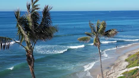 drone shot of two pam trees swaying in the breeze revealing surfers surfing on a beautiful winter day in southern california