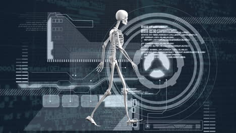 animación del esqueleto humano, escaneo de alcance sobre el procesamiento de datos