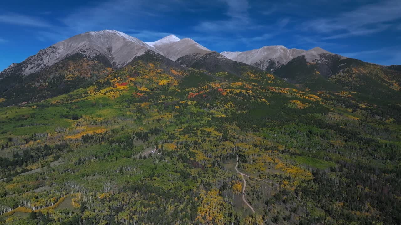 Mount Shavano trail autumn fall morning clear blue skies aerial drone Colorado trail camp ground Tabeguache Peak colorful Aspen Trees forest yellow orange snow dusting Rocky Mountains forward pan up