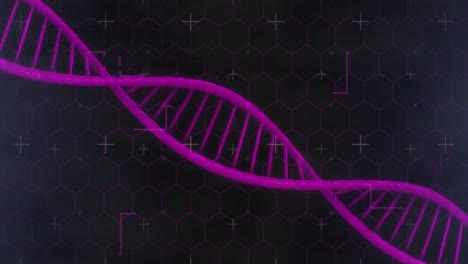 animación de formas sobre la hebra de adn