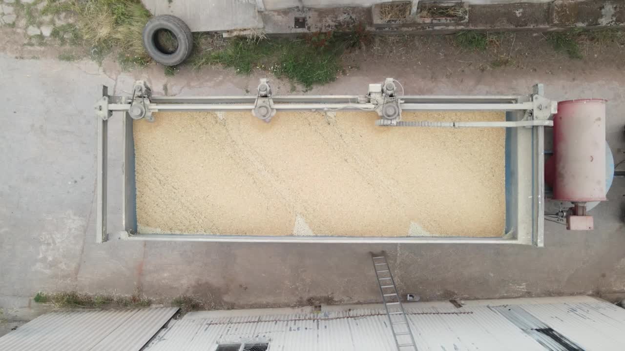 Grains and wheat being processed after harvest on a farm in Sometset, England
