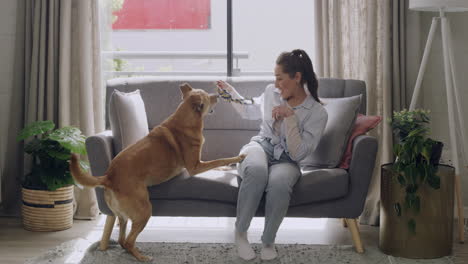 mujer y perro jugando juntos en el interior